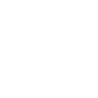 DDangk-1002's emblem
