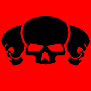soldiers's emblem