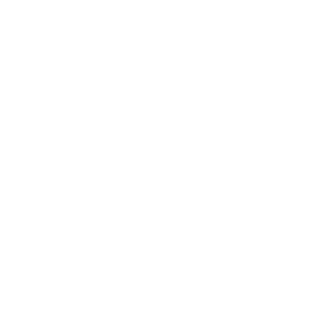 LionsT974's emblem