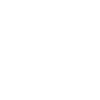 Nervo0xD's emblem