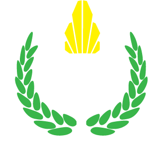 Leandro08155's emblem