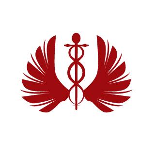 Hype291's emblem