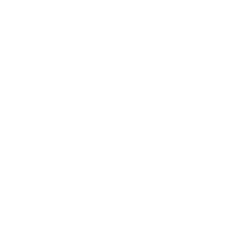 StyleFelix's emblem