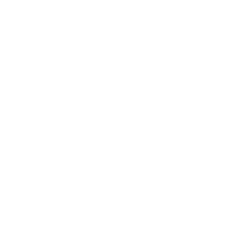 IrResistible9876's emblem