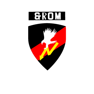 Tym3K_pl's emblem