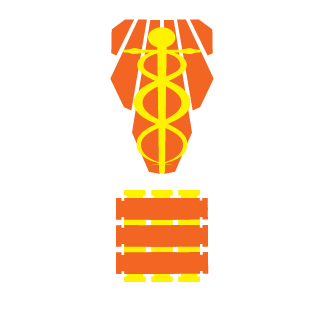 InonVais's emblem