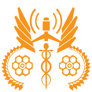 Sweden Solider Platoon's emblem