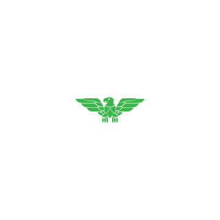 Bufa55's emblem