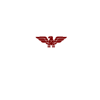 AirwolfIT's emblem