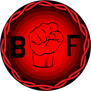 BATTLEFIELD FIGHTERS's emblem