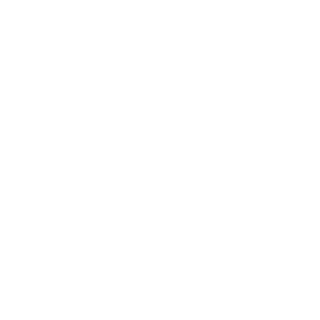 HUAWEIP90's emblem