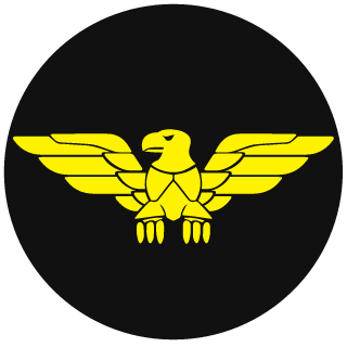 MyCaptainMyKing's emblem
