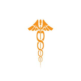 maelor99's emblem