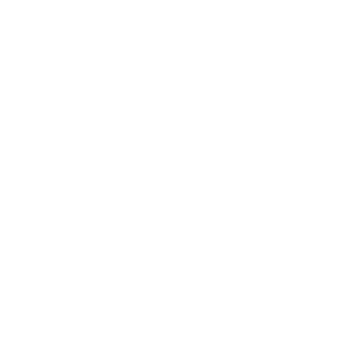 Salander161's emblem