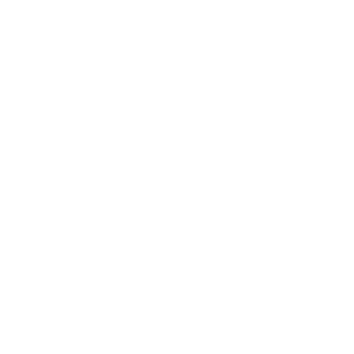 Bloxxy212's emblem
