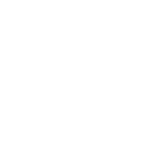 Anybis666's emblem