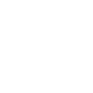 andizv's emblem