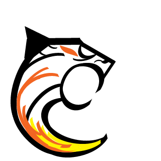 pokec9re's emblem
