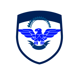 InsanieOne's emblem