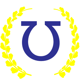 NOODLEEEES's emblem