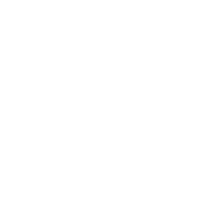 TIGRAN-S's emblem