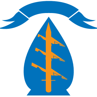 BuriedSphere's emblem