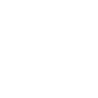 AngusTheNerd's emblem