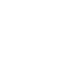 9812710f38bef90c's emblem