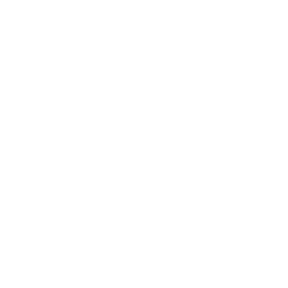 xIBlazerIx's emblem
