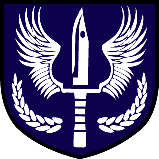 Sr_PapP's emblem