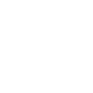 Chakalovsky's emblem