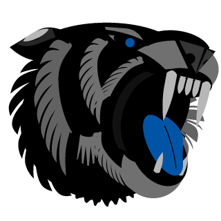 EvazionGaming's emblem