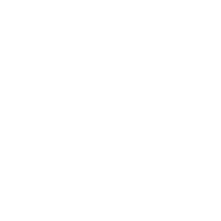 BATTLEFIELD1937's emblem