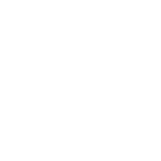 VortexeLX's emblem