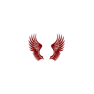 Wilk45TheManPL's emblem