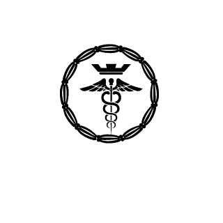 DRPiruquinha's emblem
