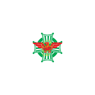 NFCareful1's emblem