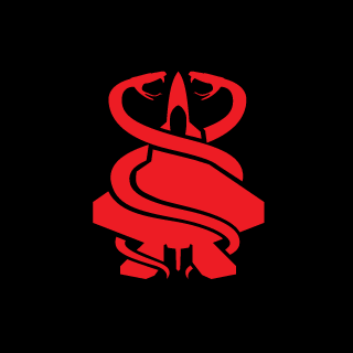 Superflaco_805's emblem
