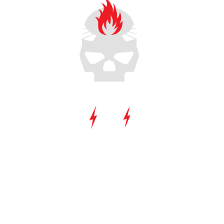 LelyaDrug's emblem