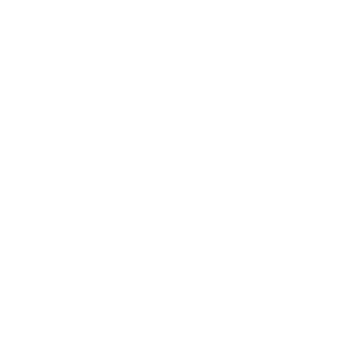 InsanicusPrime's emblem