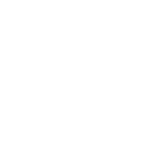 zava22's emblem