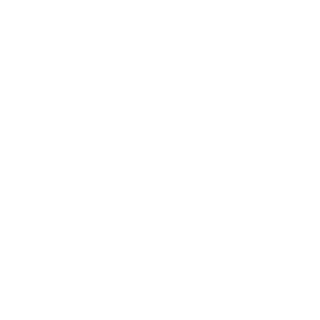 Mechanic_inc's emblem