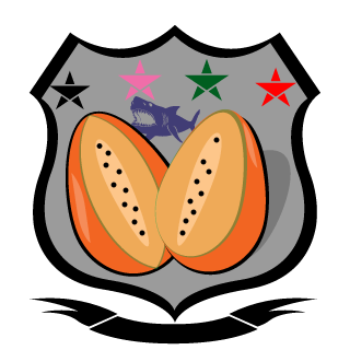 11DAFTPUNK11's emblem