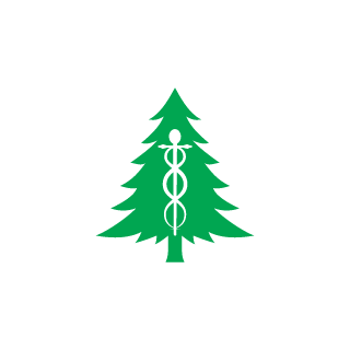 93_FERnandeZZZ's emblem