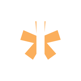 durnoi_sovsem's emblem