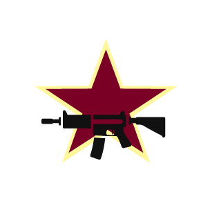 DARTFOXskyjet's emblem