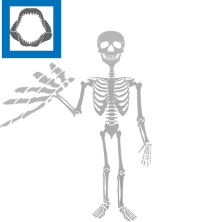 NrgBlendz's emblem