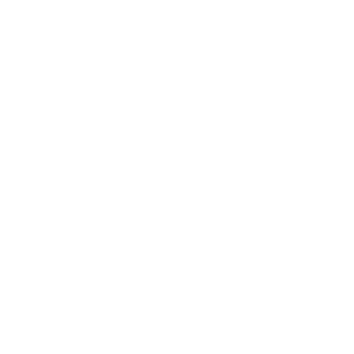 I_0n1_I's emblem