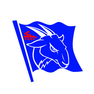 VIKTOR030181's emblem