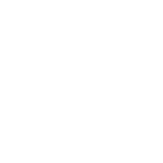 DJ_PULGAAA's emblem